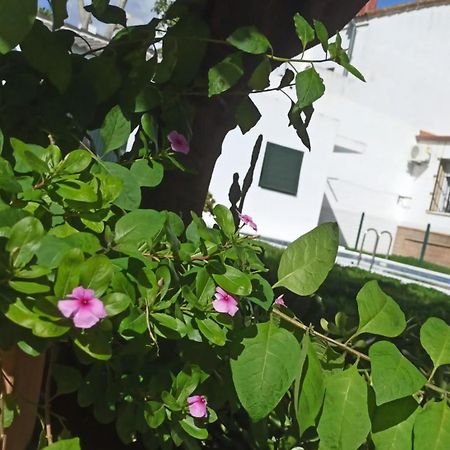 瓦伦西纳德拉孔塞普西翁Casa Turquesa别墅 外观 照片