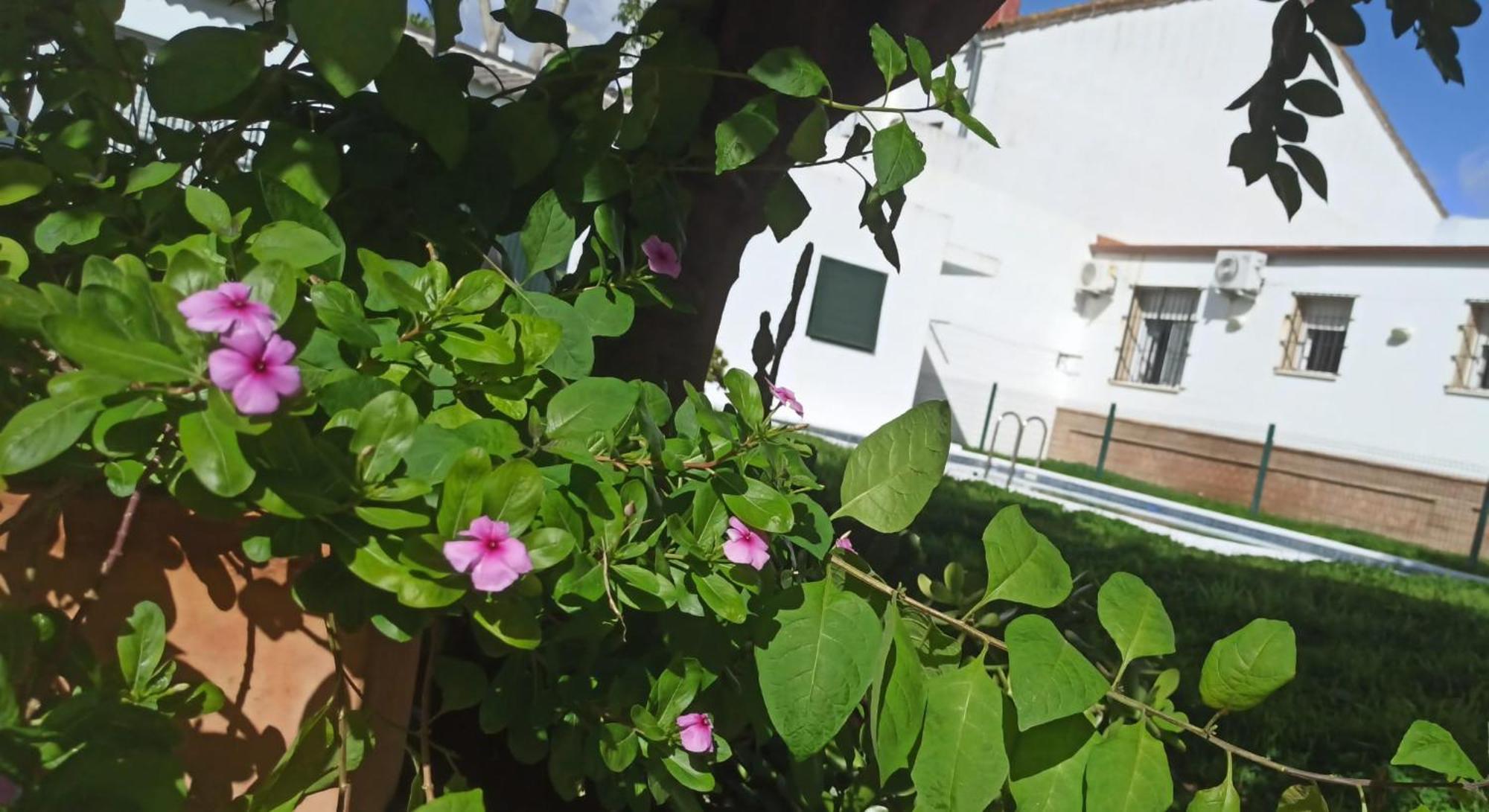 瓦伦西纳德拉孔塞普西翁Casa Turquesa别墅 外观 照片